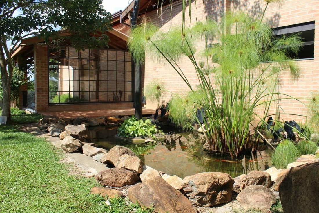 Lago com carpas, pedras e papiros ao lado do salão
